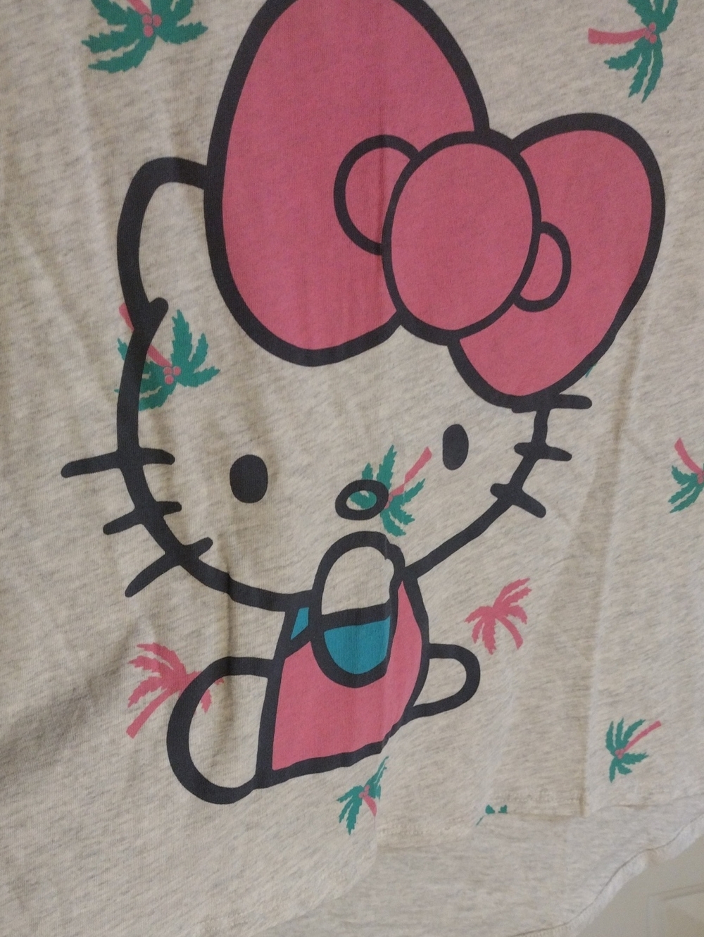 Sanrio Hello Kitty Graphic Tee in Pink and Teal